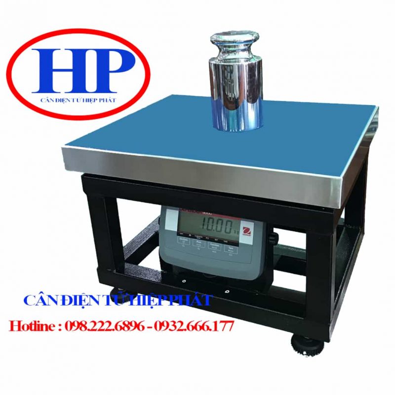 can-ghe-ngoi-ohaus-t31p