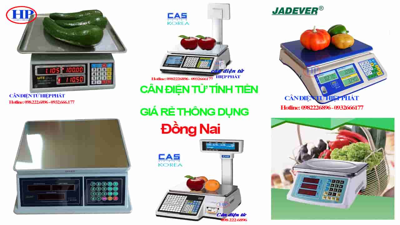 can-dien-tu-tinh-tien-dong-nai