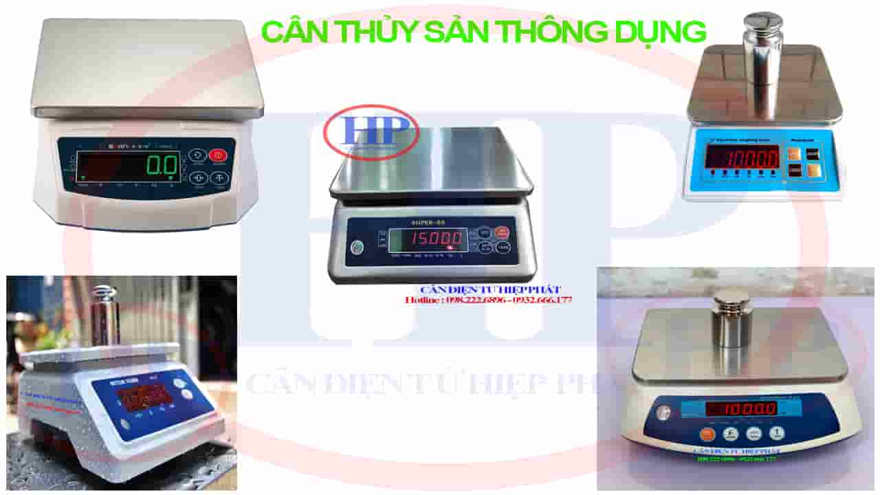 can-thuy-san-thong-dung